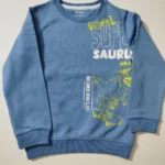 Max Sweatshirt For Boys