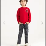Beech Tree Sweatshirt For Boys