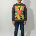 Beechtree Sweatshirt For Boys