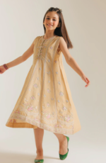 EMBROIDERED DRESS E0698/304/225