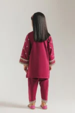 EMBROIDERED SUIT E0904/404/517 - Image 4