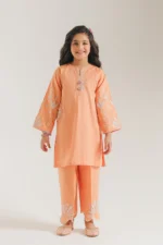EMBROIDERED SUIT E1511/402/215 - Image 3
